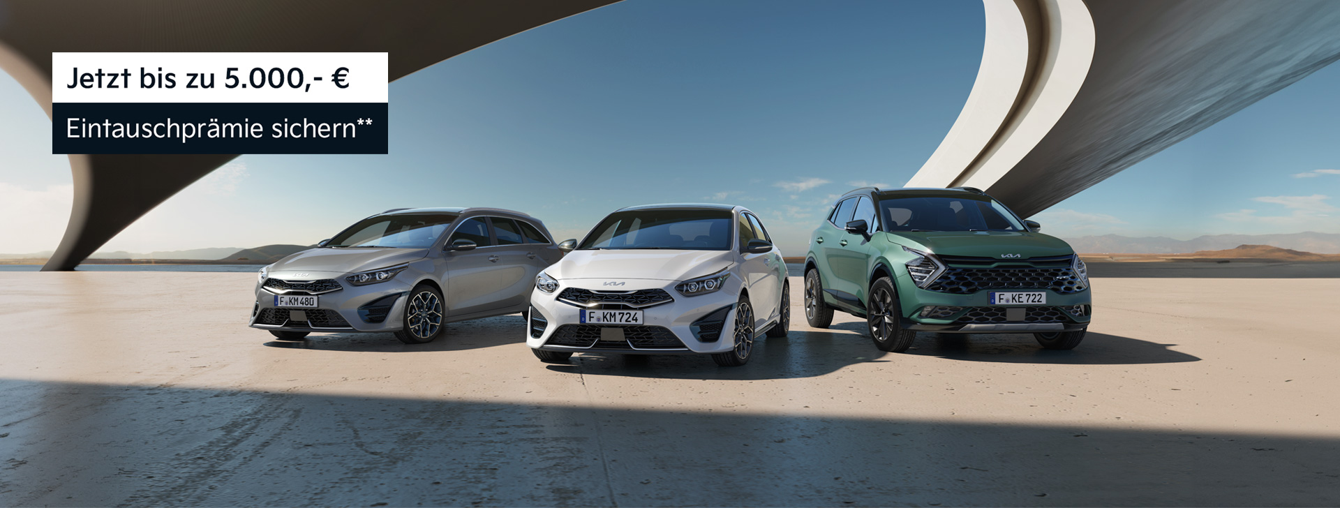 Kia Ceed, Ceed SW und Sportage